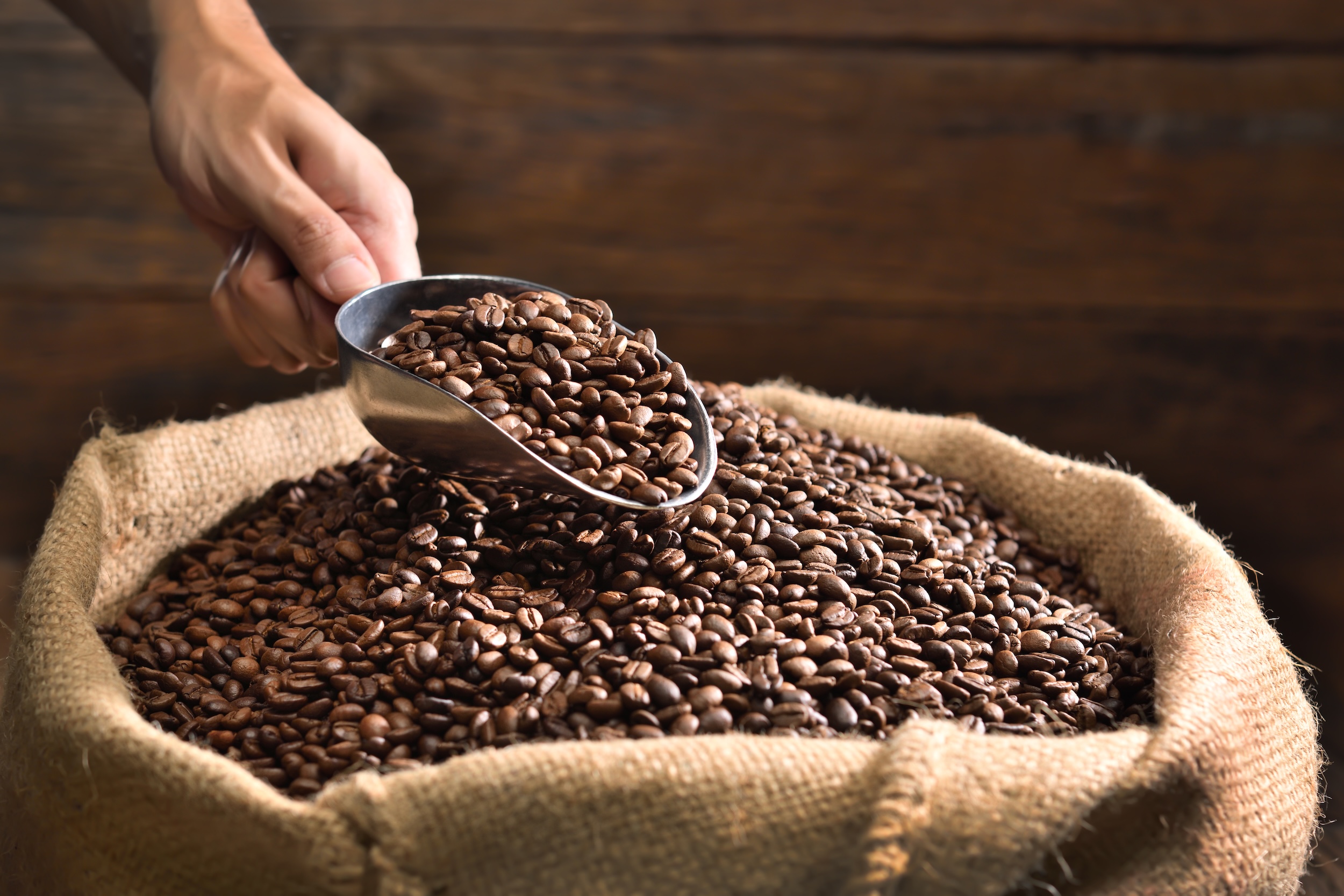 roasted-coffee-beans-in-burlap-sack-2026-01-07-06-07-41-utc 2